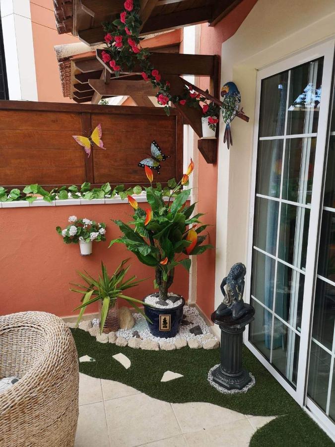 Sunny Apartament Guincho  المظهر الخارجي الصورة